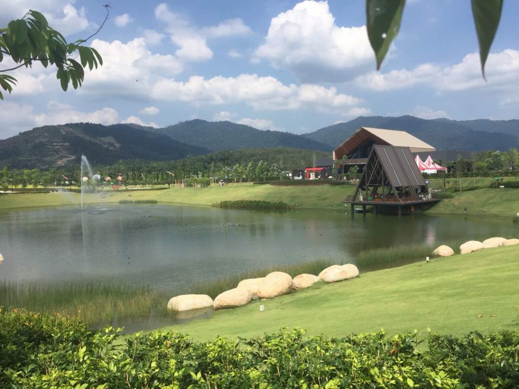 WhatsApp Image 2017-10-22 at 15.11.31