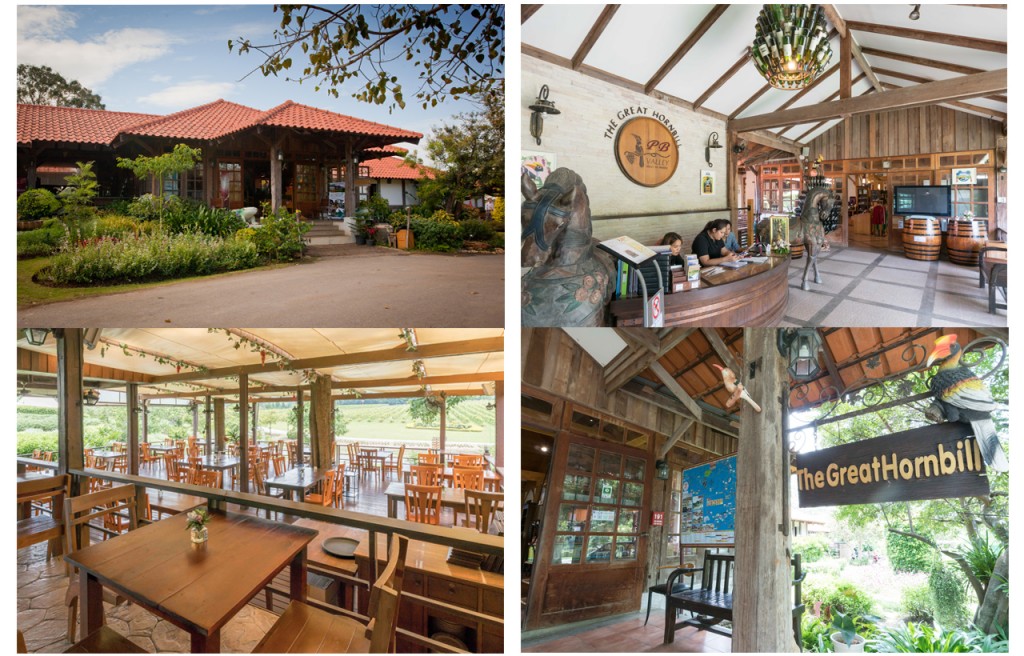 ร้าน The Great Hornbill 
