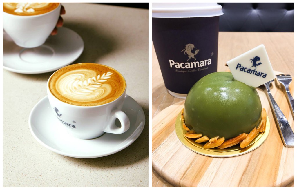 Pacamara เจ้าของไร่กาแฟที่เชียงใหม่ ที่มีโรงคั่วและเบลนด์กาแฟในสไตล์ของตัวเอง
