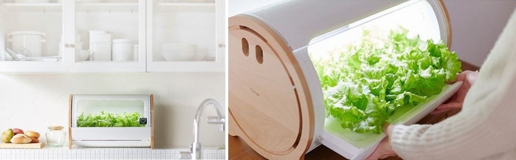 Smart Garden