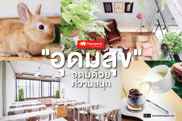 อุดมสุข สนุกสบาย