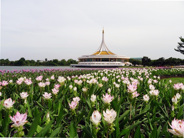 กิน เที่ยว แล้วเลี้ยวมาชมสวน ไลฟ์สไตล์ที่ครบถ้วนย่านสวนหลวง ร.9