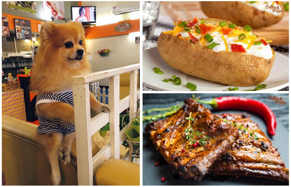 Coffee & Puppy ร้านกาแฟบรรยากาศสบายๆ ในสไตล์ไม่เหมือนใครเพราะเป็นร้านน้องหมา 