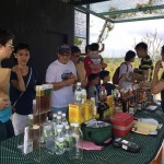 The First Edible Festival To Be Held in Medini City!