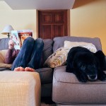 5 ข้อควรรู้ก่อนคิดจะเลี้ยงสัตว์ในคอนโดฯ