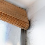 9 จุดในบ้านที่มักพบภัยอันตราย สารปนเปื้อนและแหล่งสะสมโรค