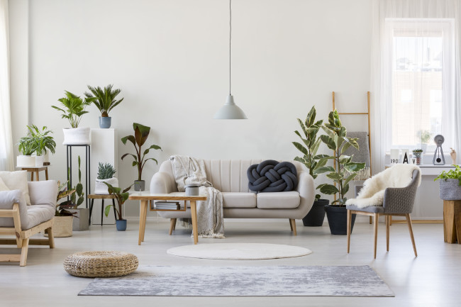 More developers want to venture into co-living