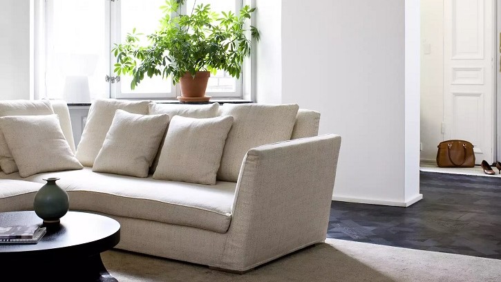 (Foto: Thespruce.com)