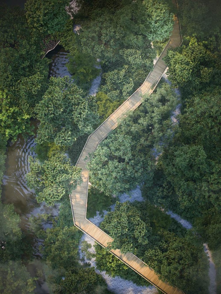 8-The-Forestias-Skywalk