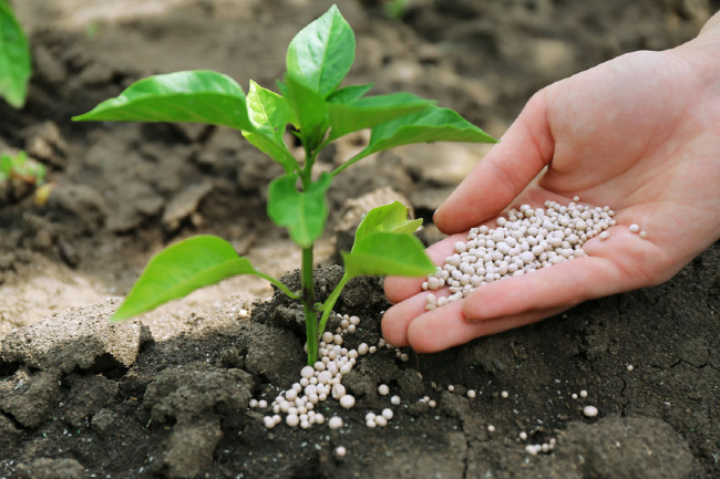 KPKT Launches DKKB To Regulate Urban Community Farming