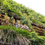 Sustainable designs: Mah Sing Group's most effective tool to enhance urban living
