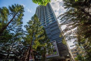  - รีวิวโครงการ: ดิ เอดิเตอร์ (The Editor)