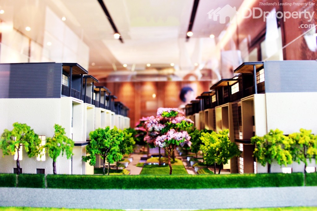 มุงมองจากทางทิศใต้ของโครงการ