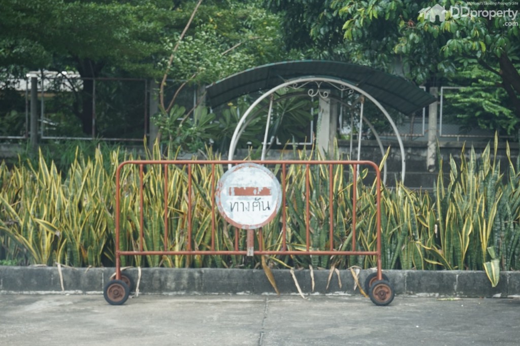 Remarkable ProjectDSC00757.1-007