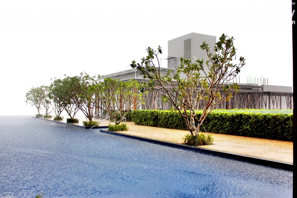 วันนี้ฝนตกแต่ก็ยังสวนจนอดตื่นเต้นไม่ได้