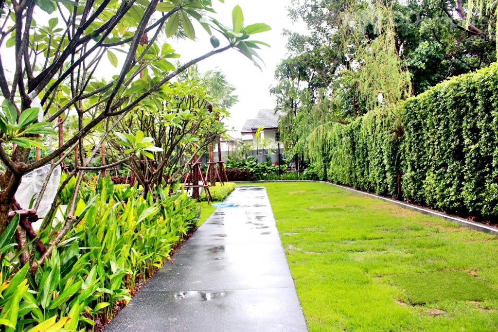 ทางเดินด้านขวารอบโครงการ