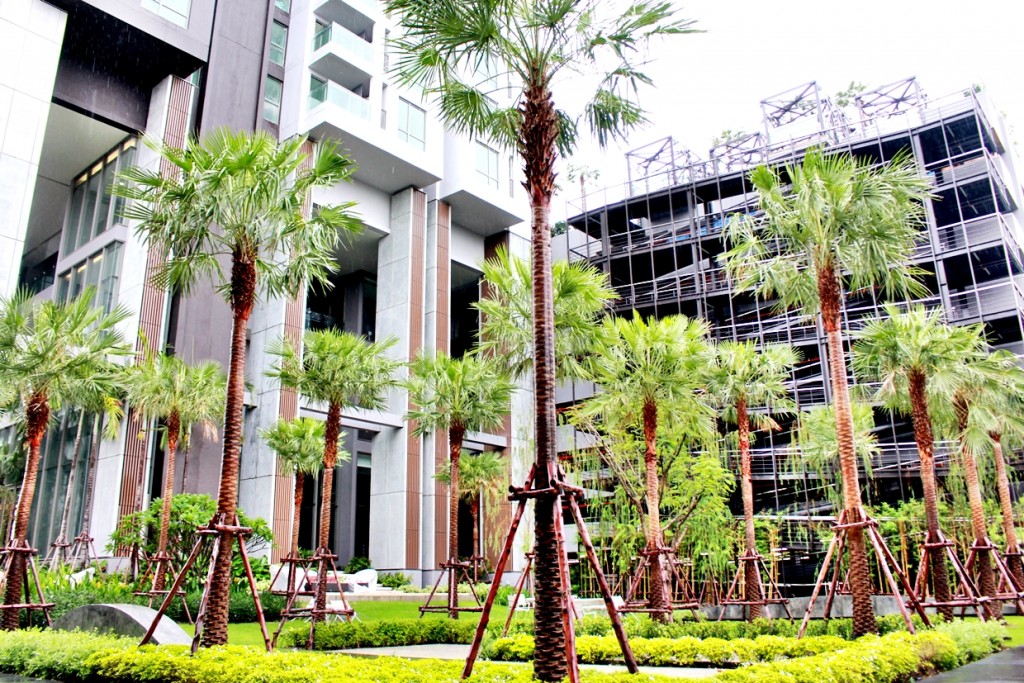 พื้นที่สวนนั่งพักผ่อน