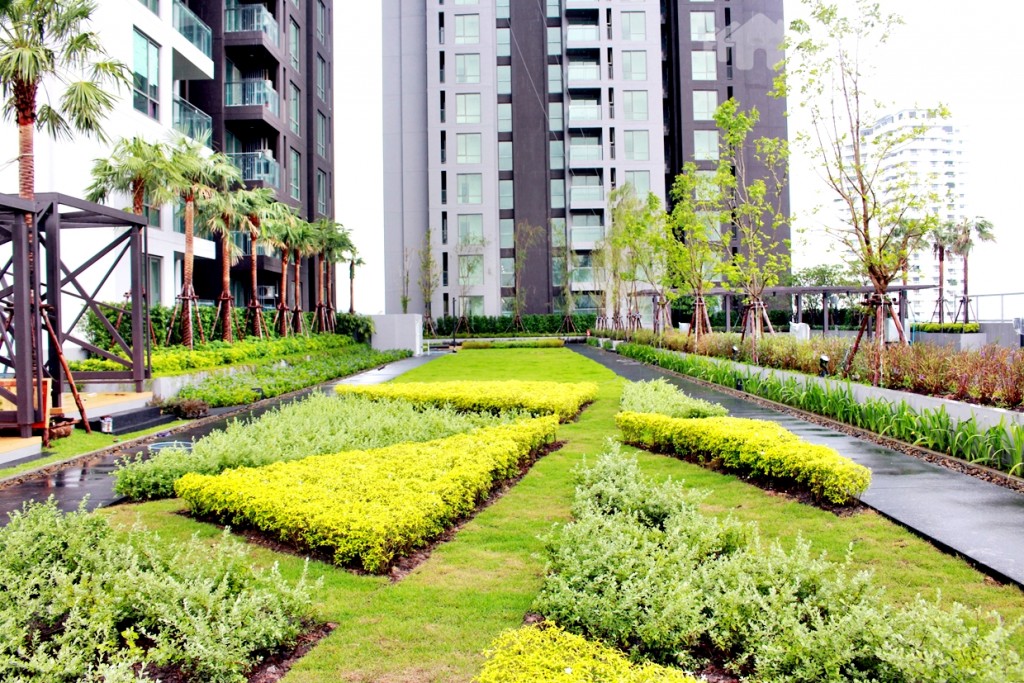 พื้นที่สวนบนชั้น 8