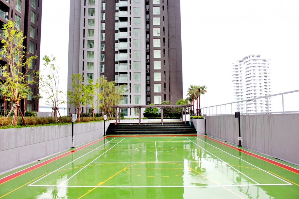 สนามกีฬา บนชั้น 8