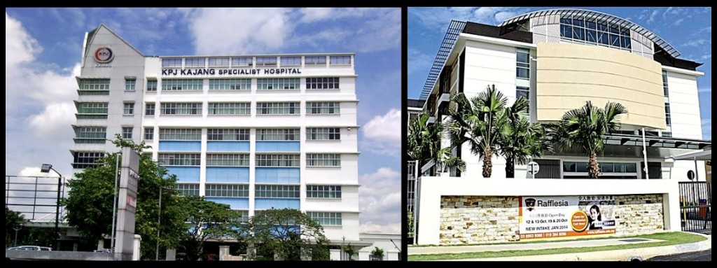 004 Oasis 1 - Nearby Amenities 2