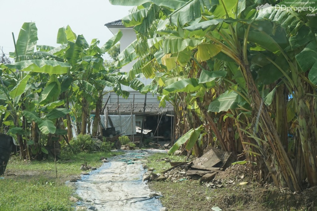 2Thana Habitat ViewThana Habitat 045-002