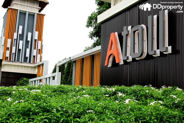 A Toll Maldives Beach  (148)