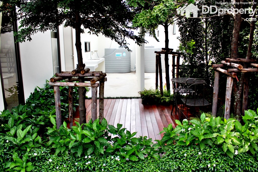 พื้นที่สวนด้านหลังบ้าน