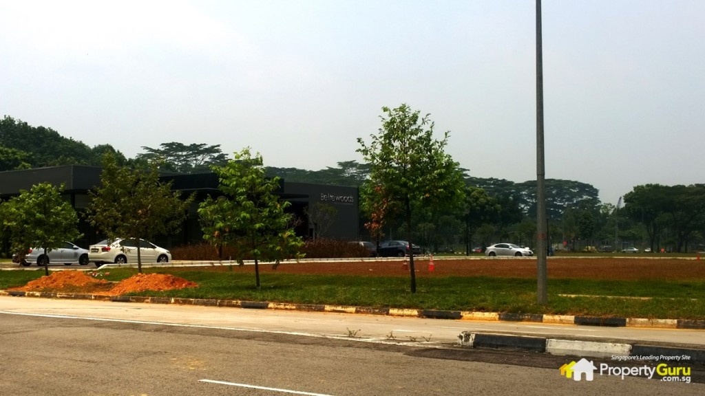 Bellewoods showflat