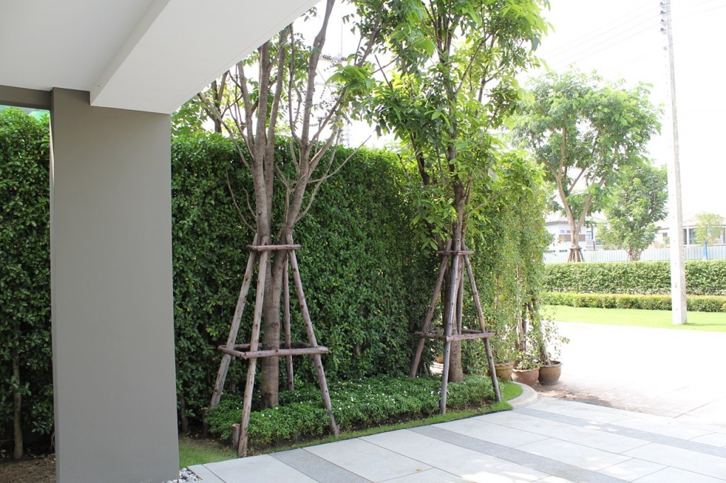 Bliss Lana HouseIMG_0267-003