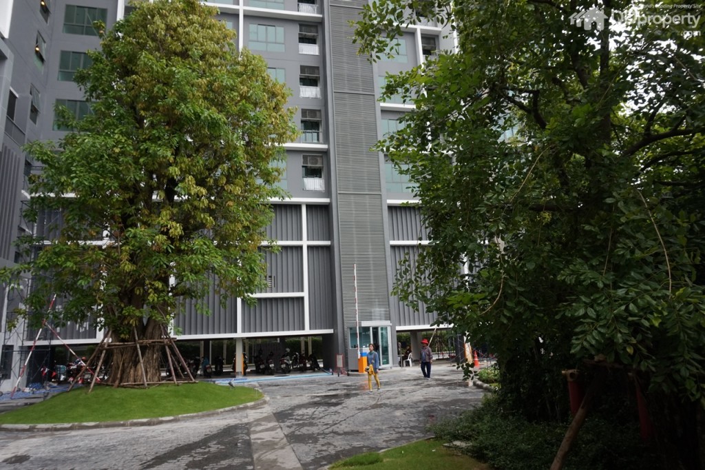 Ideo Mobi Charan Inside ViewDSC01106-009