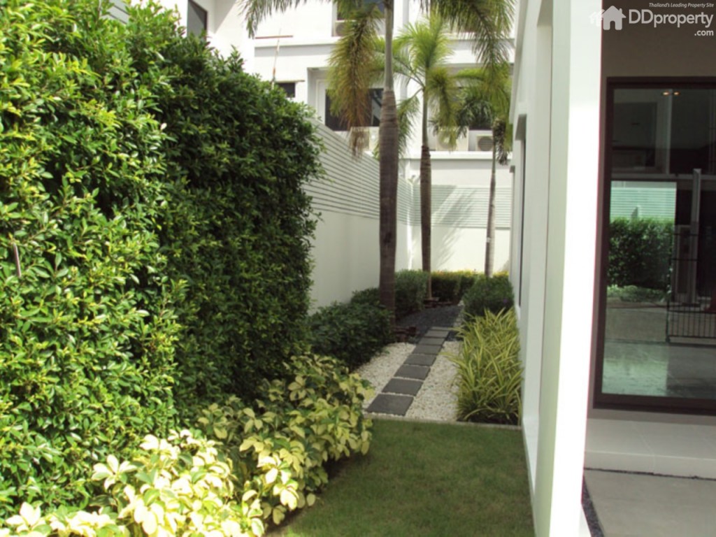 เริ่มที่หน้าบ้านมีรั้วเตี้ยๆให้ เข้าได้ทางเดียวกันกับทางเข้าที่จอดรถ โดยลานจอดรถเทปูนฉาบเรียบให้  บริเวณพื้นที่ข้างบ้าน  (บ้านที่เปิดให้ชมเป็นแปลงมุม) ปูหญ้าและลงต้นไม้ไว้ให้ ส่วนหลังอื่นจะมีกระถางไม้พุ่มคั่นระหว่างรั้วที่ติดกันทั้งสองด้านให้ 