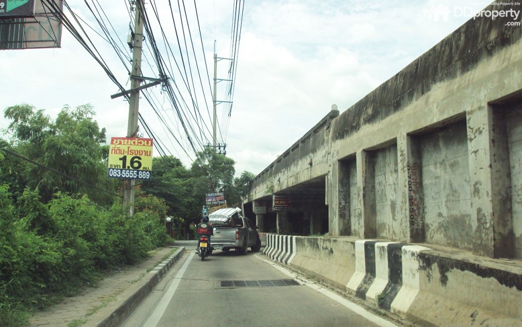 Lio Nov Wongwaen-Pinklaop15-009