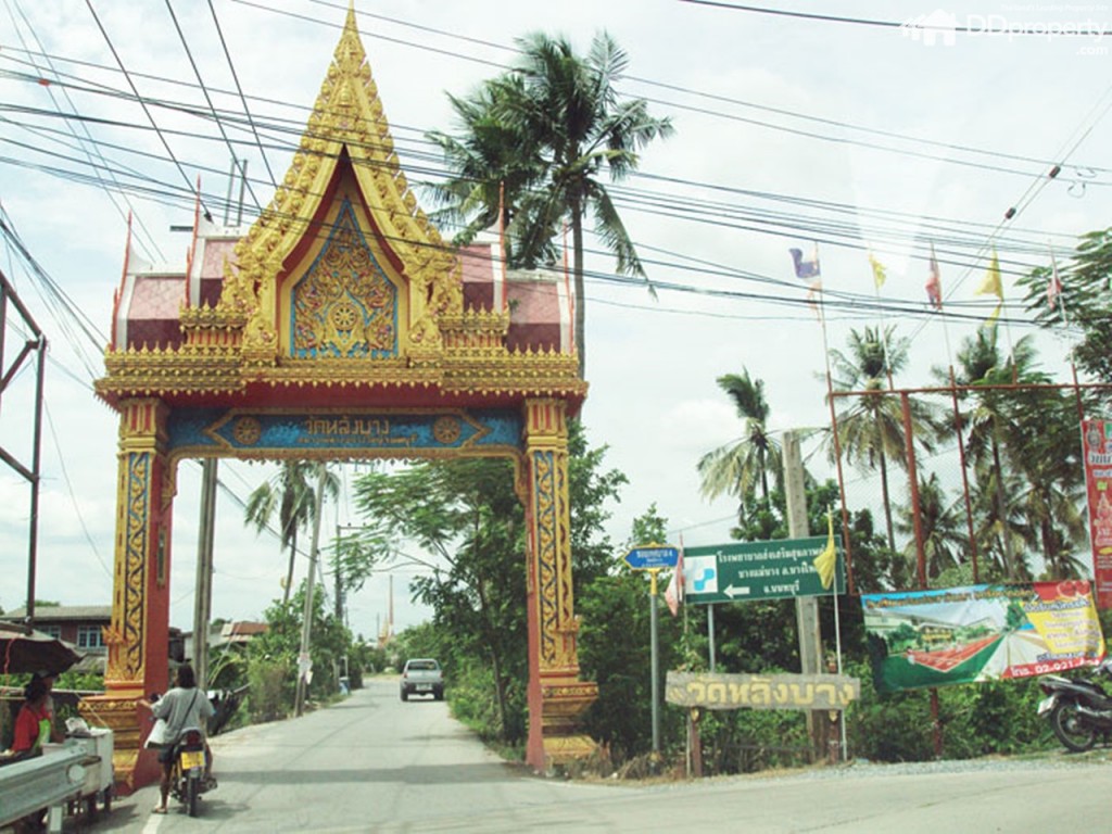 Lio Nov Wongwaen-Pinklaop23-017