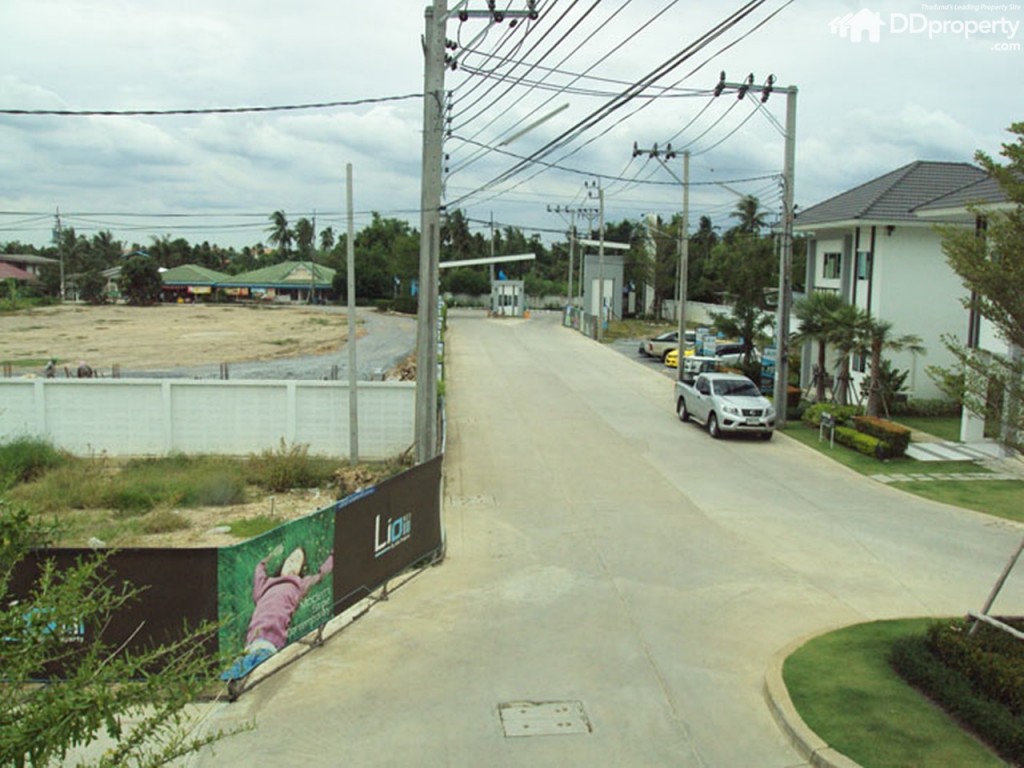 Lio Nov Wongwaen-Pinklaop30-021