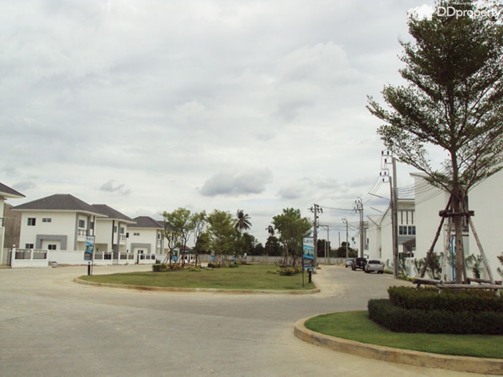 Lio Nov Wongwaen-Pinklaop31-022