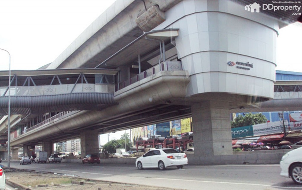 Lio Nov Wongwaen-Pinklaop6-003