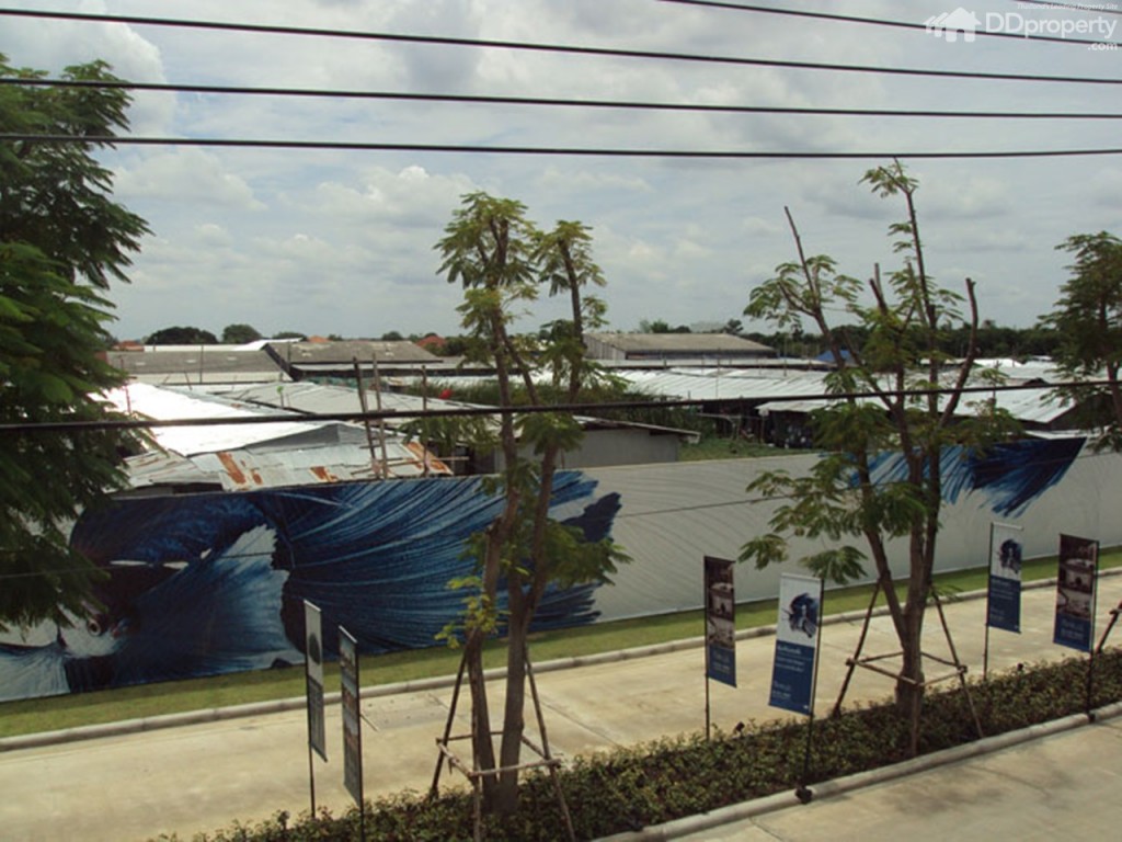 Noble gable watcharapolp32_noble gable watcharapol-001