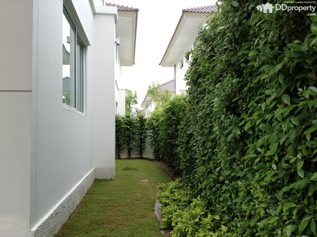 Perfect Park Ratchapruk Analysis p58-056