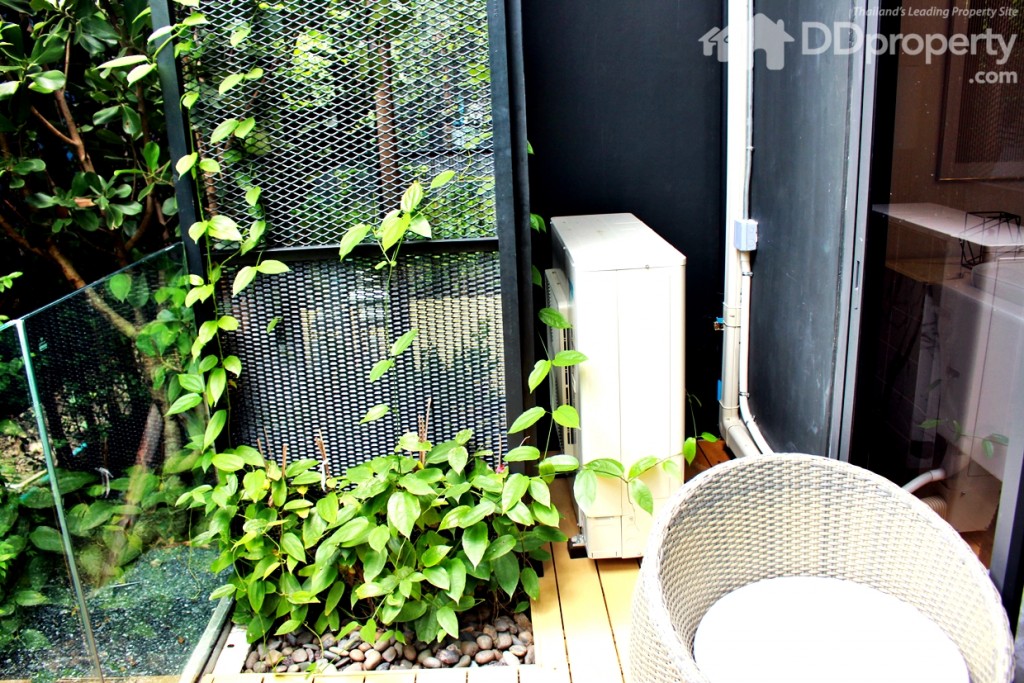 พืชไม้เลื่อยเพื่อสรา้งความสวยงามให้กับห้อง