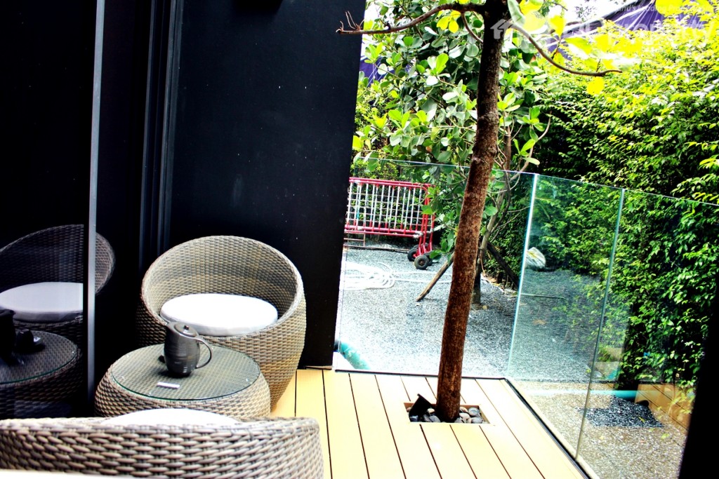 SiameseIMG_6285-20151006-162113