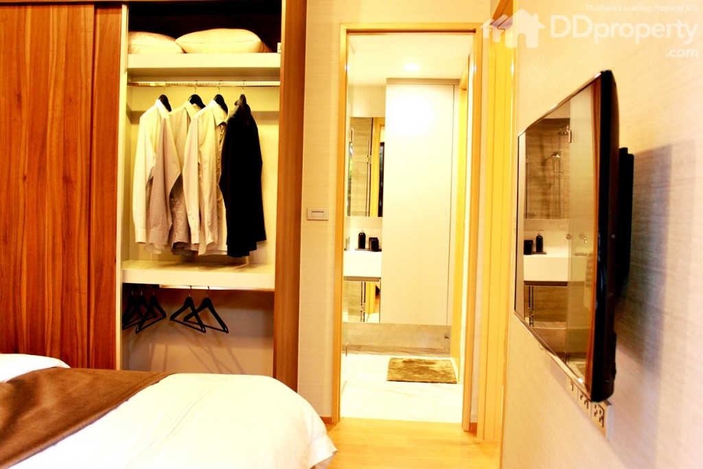 SiameseIMG_6534-20151006-161537