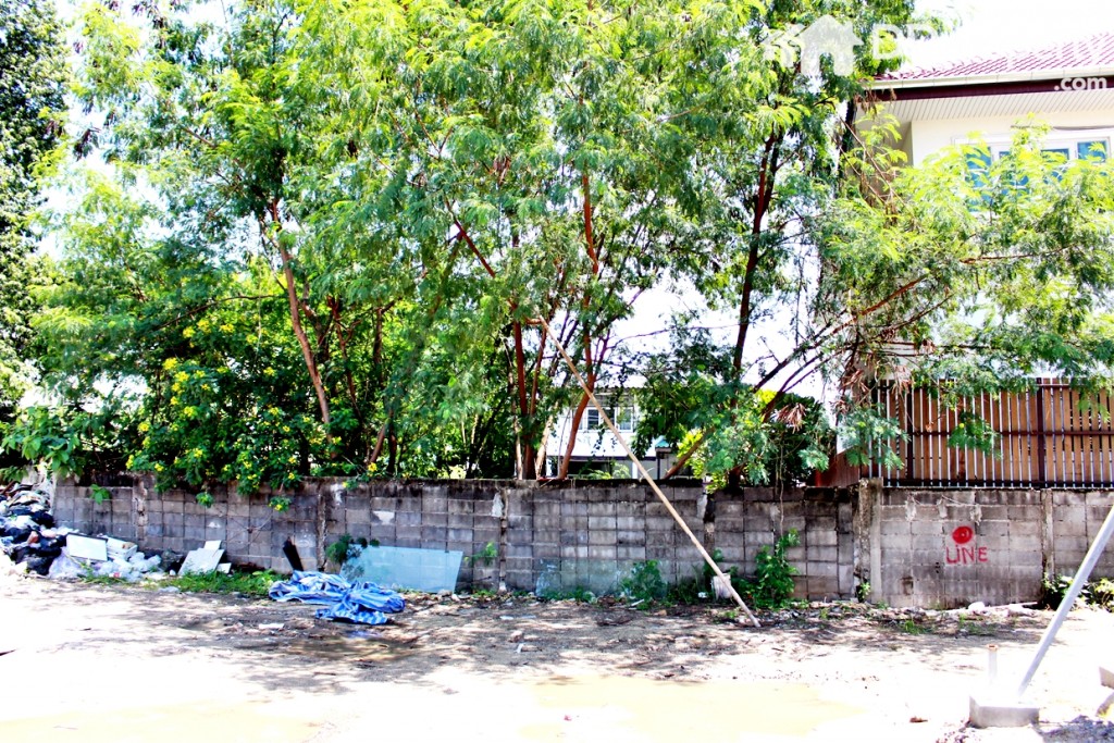 ด้านขวาของที่ตั้งโครงการ