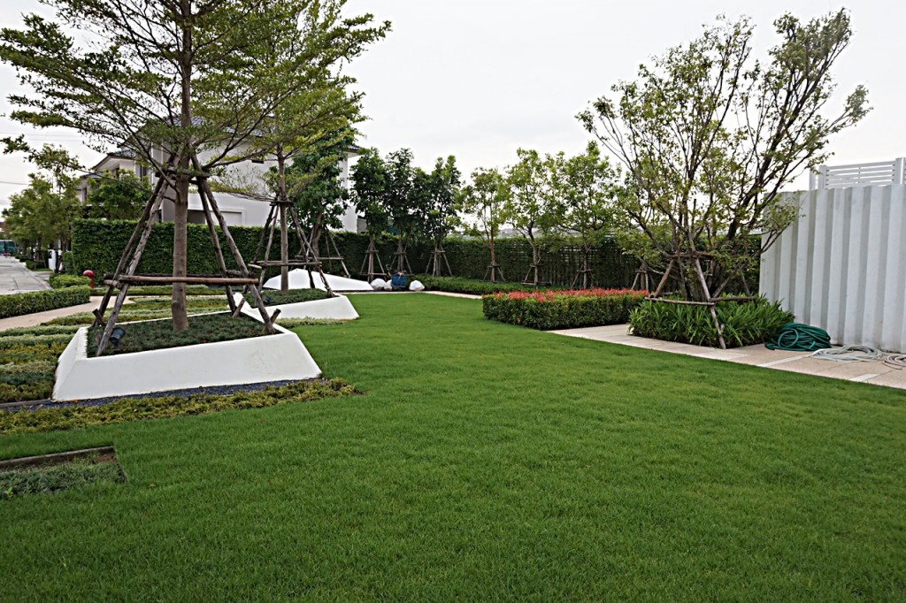 Thana Habitat FacilitityThana Habitat 217-002