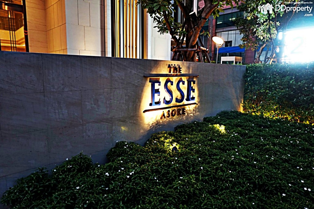 The-Esse-AsokeThe-Esse-AsokeDSC01792