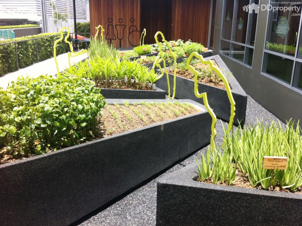 U Delight Ratchavibha29-010