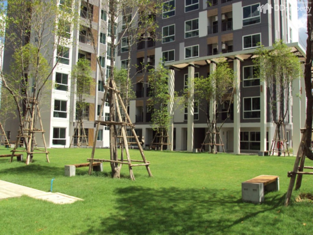 ทั้งนี้ในส่วนของสิ่งอำนวยความสะดวกจะอยู่ตรงช่วงกลางๆของโครงการ สร้างเป็นคลับเฮ้าส์และสระว่ายน้ำ (ทุกอาคารใช้งานร่วมกัน) ซึ่งโครงการทาวน์โฮมและบ้านเดี่ยวไม่สามารถมาใช้งานได้