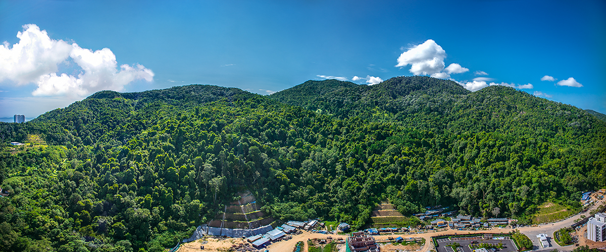 ferrenghiresidences-behind a forest reserve area