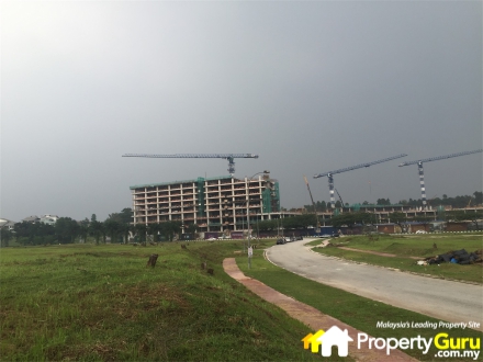 004 Skyz Jelutong Fields