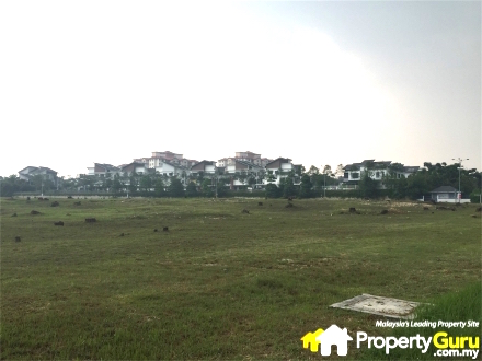 005 Skyz Jelutong Fields (ii)