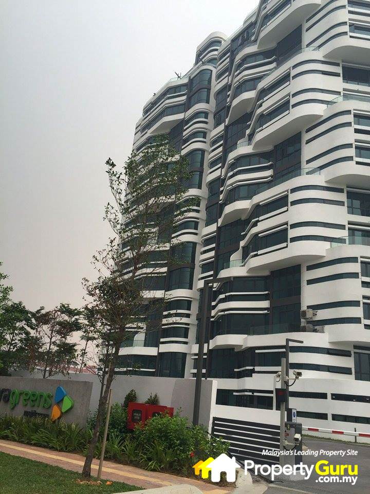 012-ara green-ara green